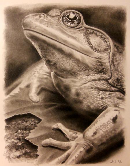 Tattoos - Frog portrait - 73100